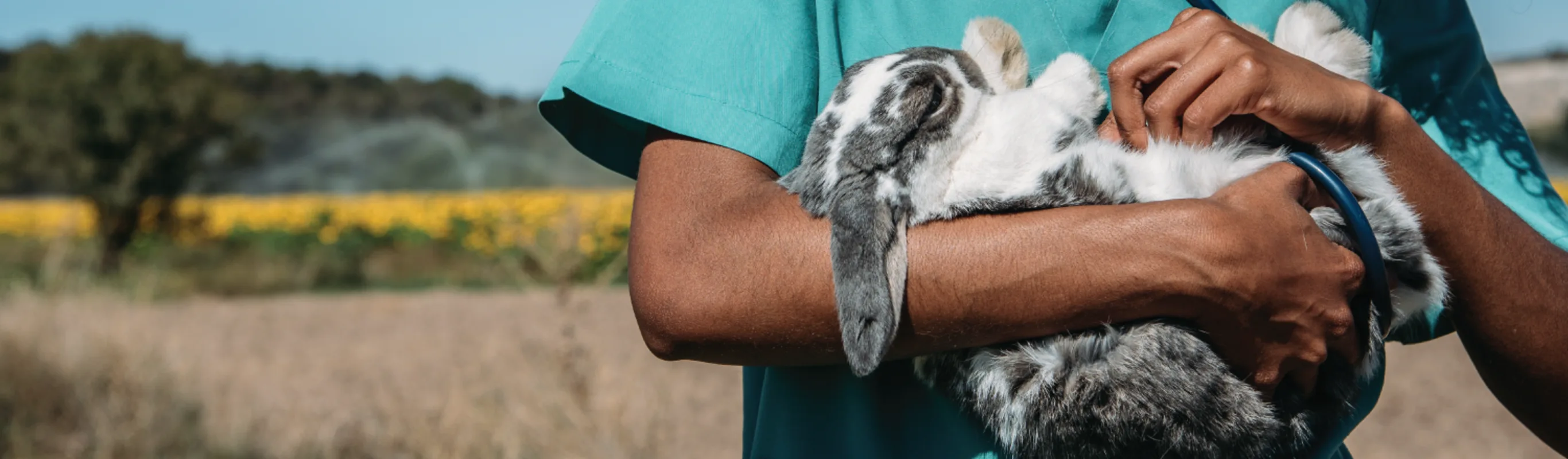 Woman holding rabbit while outside